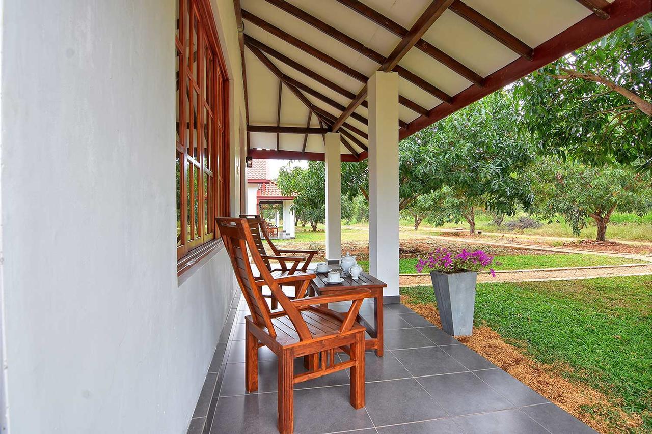 Dambulla Hills Resort 外观 照片