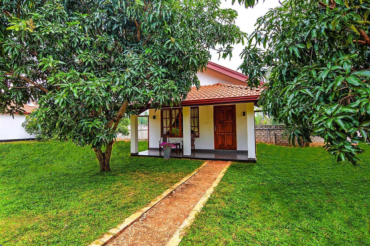 Dambulla Hills Resort 外观 照片