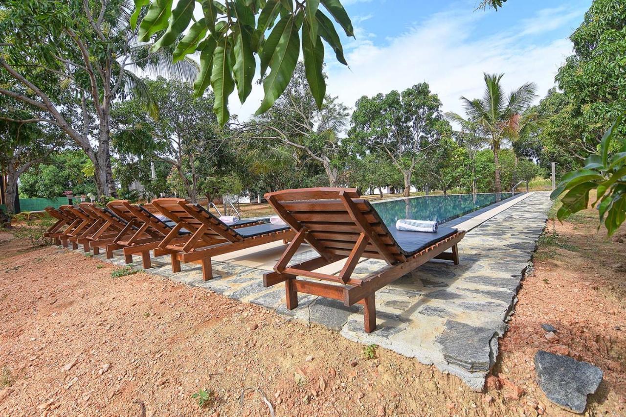 Dambulla Hills Resort 外观 照片